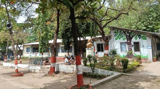 About the Institution